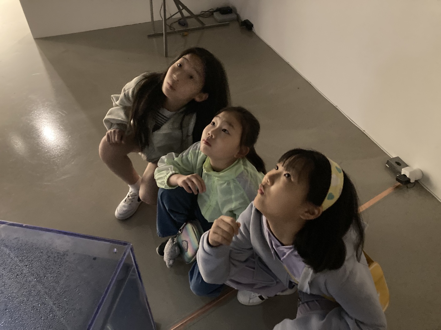 KakaoTalk_20250508_145441000_03.jpg